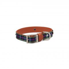 Highland Blue Tartan Dog Collar Medium