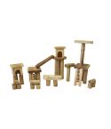 Bamboo Building set with house