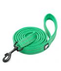 Reflective Pet Leash 2 meters Green M