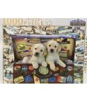 Puppies In Suitcase - 1000 Piece Puzzle