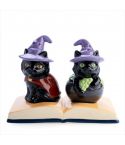 Black Cat Salt Pepper Set