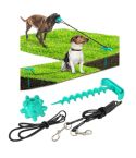 Portable Dog Tie-out Stick Set Outdoor Interactive Tug of  War Toy
