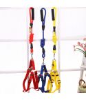 YES4PETS 2 X Medium Pet Dog Puppy Dog Harness Collar leash lead
